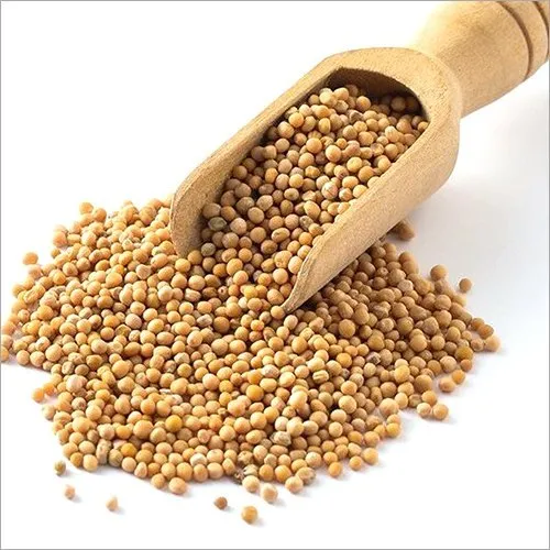 Sadavrat - Mustard Seeds